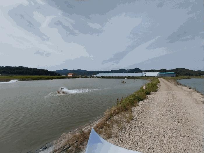 전북특별자치도 부안군 진서면 진서리 265-13 임야 경매 사진 4