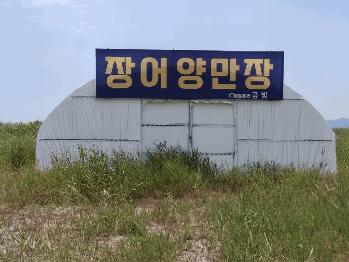 전북특별자치도 부안군 진서면 진서리 산149-96 임야 경매 사진 2