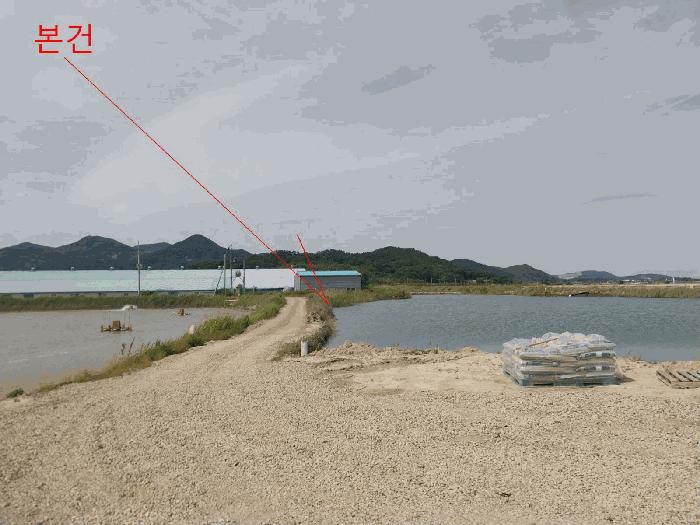 전북특별자치도 부안군 진서면 진서리 265-16 임야 경매 사진 7