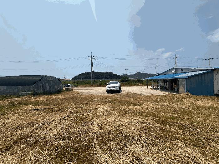 전북특별자치도 부안군 진서면 진서리 265-12 임야 경매 사진 3