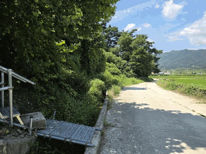 전북특별자치도 임실군 오수면 군평리 산194 임야 경매 사진 1