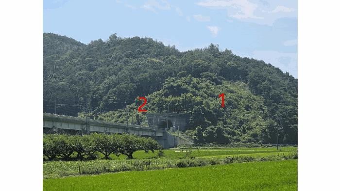 전북특별자치도 임실군 오수면 군평리 산194 임야 경매 사진 9