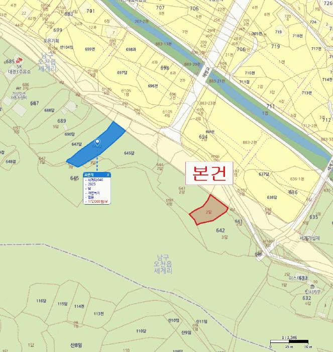 경상북도 포항시 남구 오천읍 세계리 642-2 답 경매 사진 8
