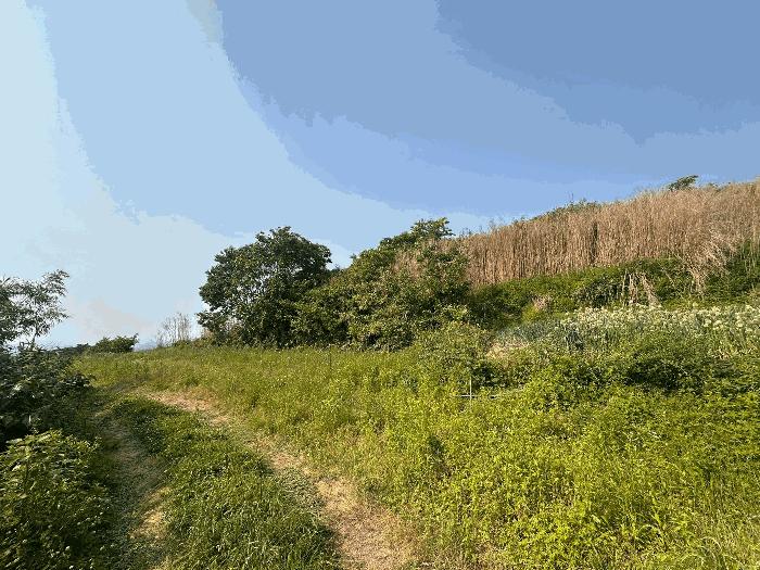 전북특별자치도 고창군 성송면 학천리 67 답 경매 사진 10