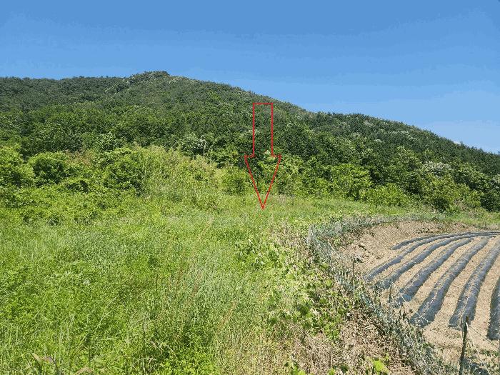 전북특별자치도 정읍시 산내면 예덕리 284-1 답 경매 사진 16
