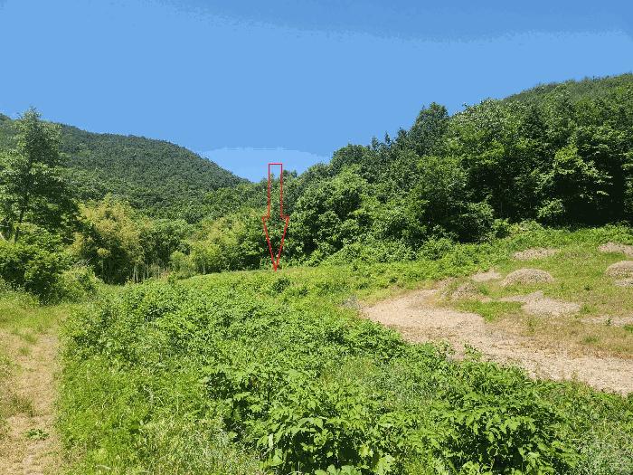 전북특별자치도 정읍시 산내면 예덕리 284-1 답 경매 사진 5