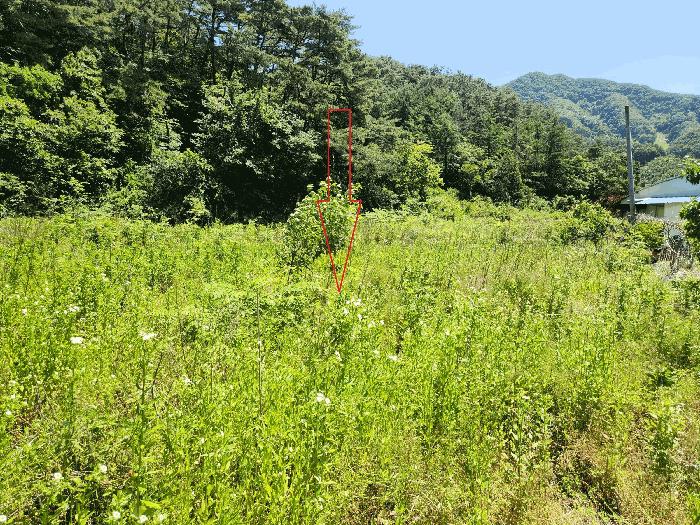 전북특별자치도 정읍시 산내면 예덕리 284-1 답 경매 사진 7