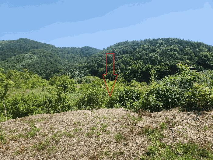 전북특별자치도 정읍시 산내면 예덕리 284-1 답 경매 사진 8