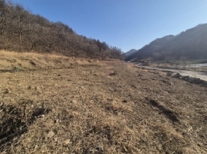 경상북도 포항시 남구 구룡포읍 성동리 산159 임야 경매 사진 5