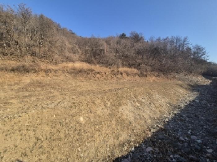 경상북도 포항시 남구 구룡포읍 성동리 산159 임야 경매 사진 7