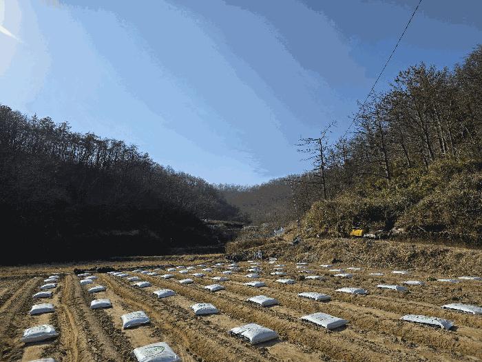 경상북도 포항시 남구 동해면 중흥리 104 답 경매 사진 1