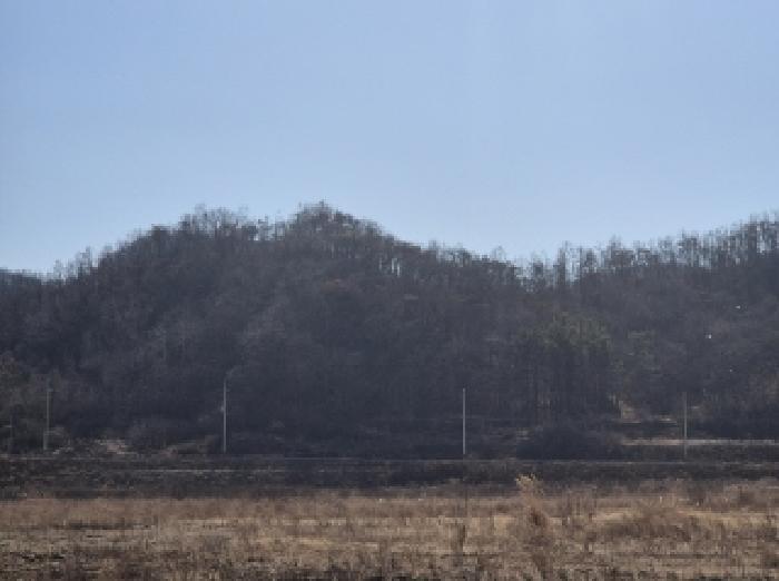 경상북도 포항시 남구 동해면 중흥리 104 답 경매 사진 10