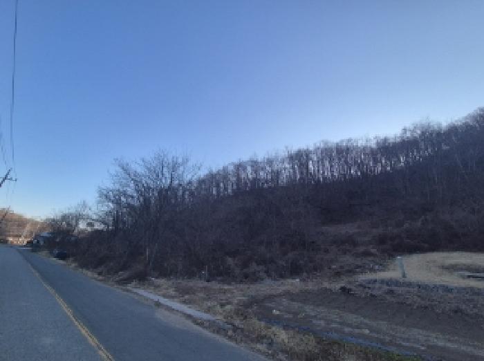 경상북도 포항시 남구 동해면 중흥리 104 답 경매 사진 11