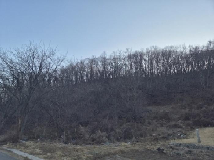 경상북도 포항시 남구 동해면 중흥리 104 답 경매 사진 12