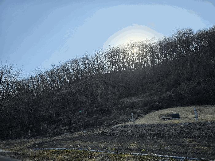 경상북도 포항시 남구 장기면 학곡리 산126 임야 경매 사진 2