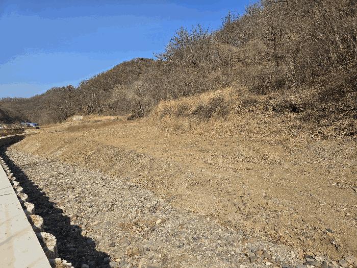 경상북도 포항시 남구 장기면 학곡리 산126 임야 경매 사진 4