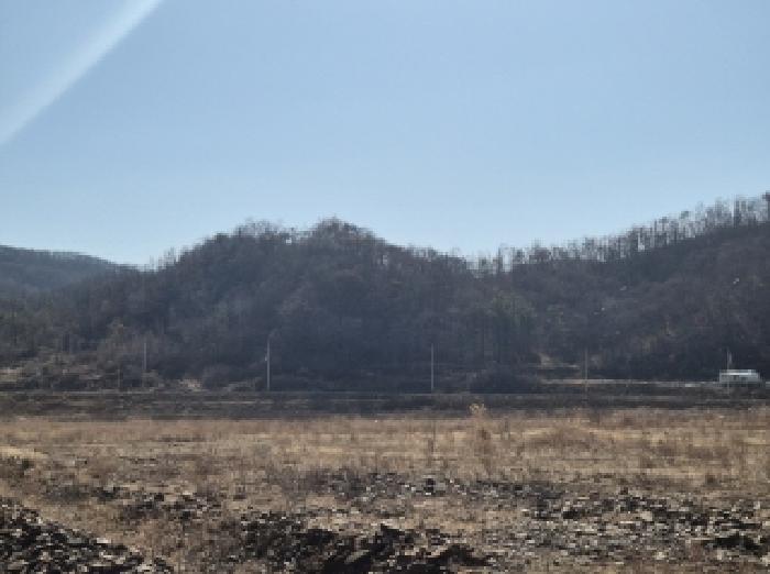 경상북도 포항시 남구 장기면 학곡리 산126 임야 경매 사진 9