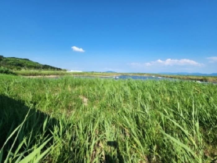 전북특별자치도 부안군 진서면 진서리 산149-105 임야 경매 사진 7
