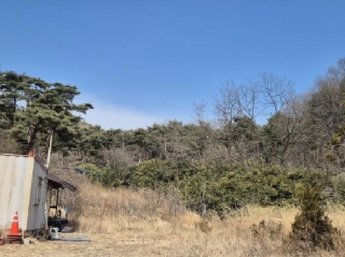 경상북도 포항시 남구 오천읍 문덕리 산156-2 임야 경매 사진 3