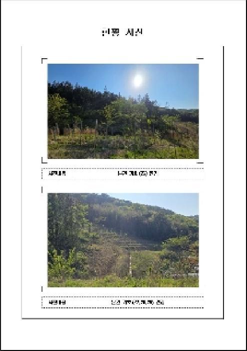 전라남도 함평군 나산면 수상리 591-2 전 경매 사진 43