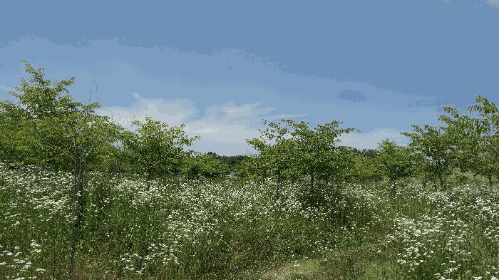 전북특별자치도 완주군 이서면 이문리 514-7 답 경매 사진 28