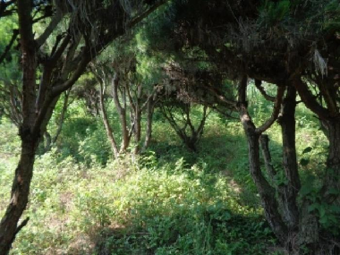 전북특별자치도 완주군 이서면 이문리 514-7 답 경매 사진 76