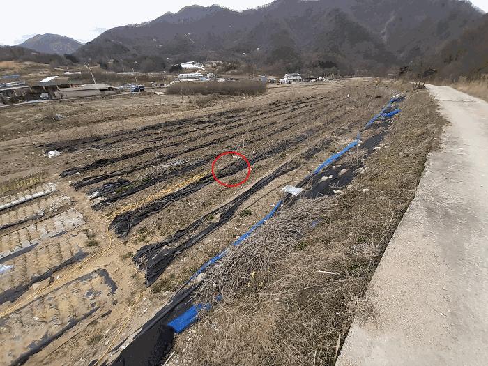 전북특별자치도 진안군 주천면 대불리 254 전 경매 사진 1