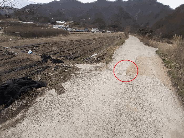 전북특별자치도 진안군 주천면 대불리 254 전 경매 사진 11