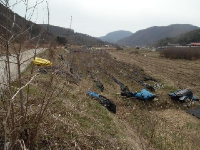 전북특별자치도 진안군 주천면 대불리 254 전 경매 사진 14