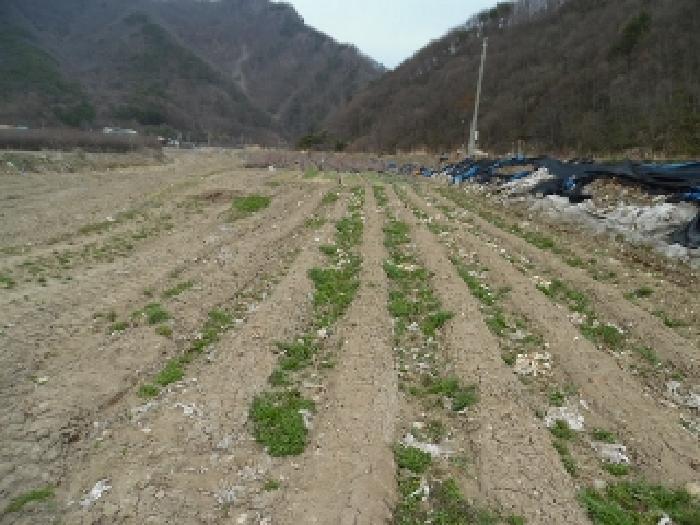 전북특별자치도 진안군 주천면 대불리 254 전 경매 사진 17