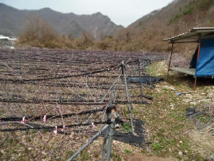 전북특별자치도 진안군 주천면 대불리 254 전 경매 사진 20