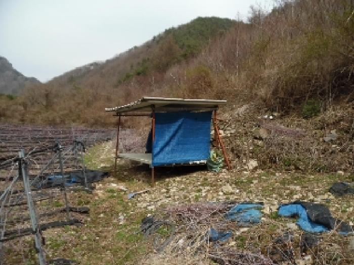전북특별자치도 진안군 주천면 대불리 254 전 경매 사진 21