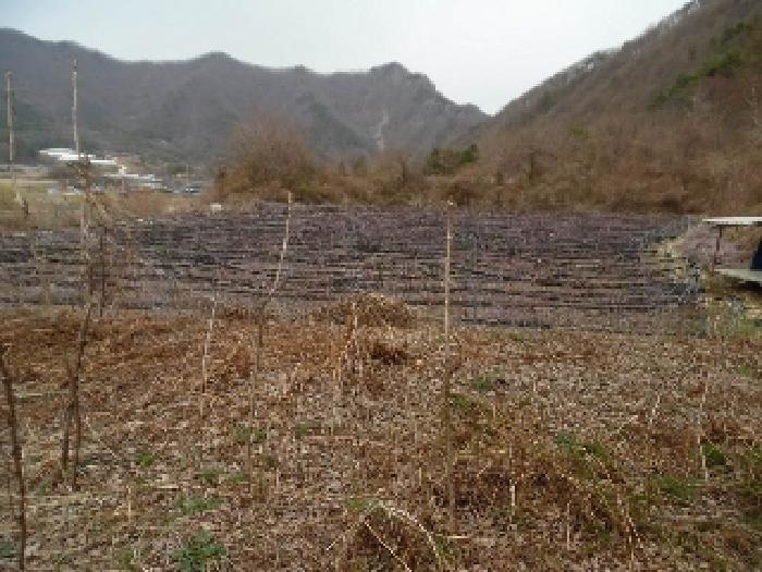 전북특별자치도 진안군 주천면 대불리 254 전 경매 사진 22