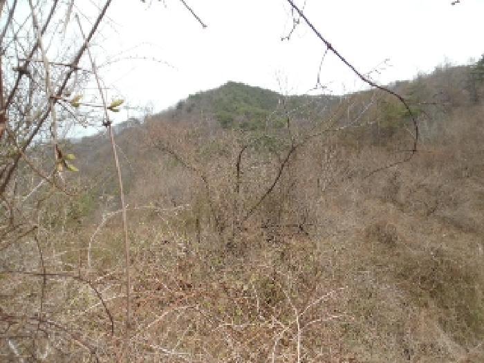 전북특별자치도 진안군 주천면 대불리 254 전 경매 사진 24