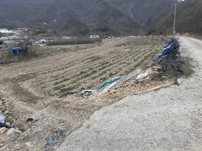 전북특별자치도 진안군 주천면 대불리 254 전 경매 사진 3