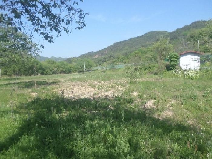 전북특별자치도 완주군 구이면 광곡리 445-1 전 경매 사진 18