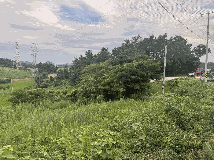 전라남도 신안군 안좌면 대리 34 답 경매 사진 13