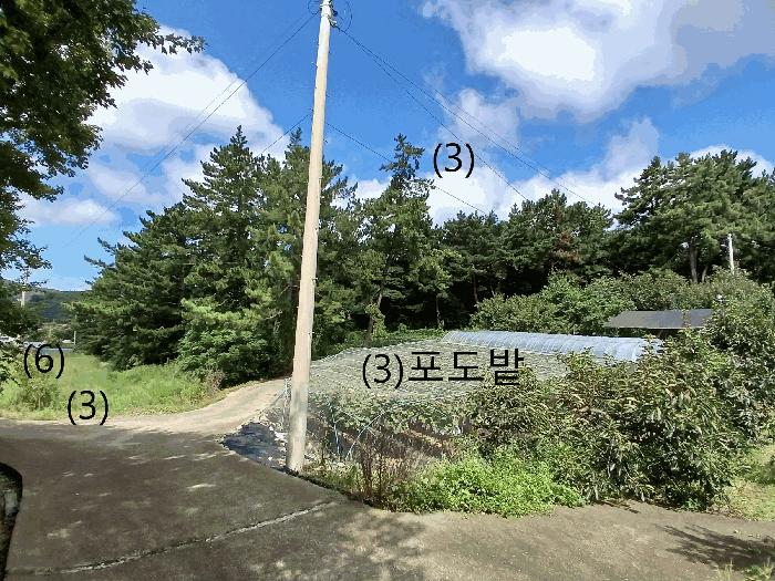 전라남도 무안군 청계면 상마리 10-4 전 경매 사진 4