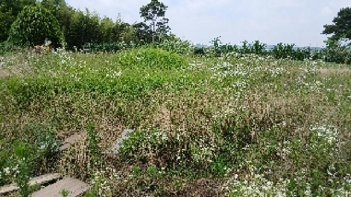전북특별자치도 완주군 삼례읍 수계리 421-16 답 경매 사진 5