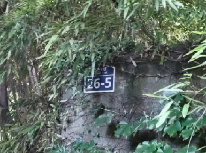 전라남도 보성군 조성면 동촌리 330-1 임야 경매 사진 18