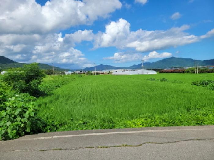 전라남도 보성군 조성면 동촌리 330-1 임야 경매 사진 21