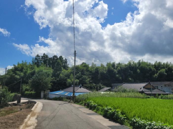 전라남도 보성군 조성면 동촌리 330-1 임야 경매 사진 39