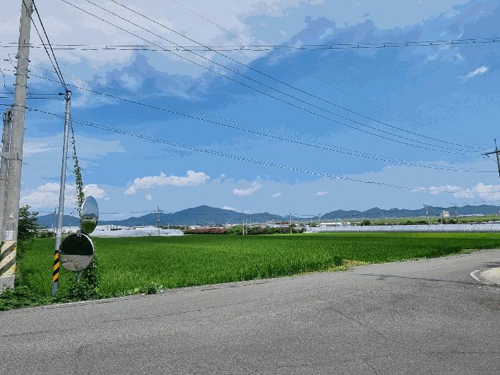 전라남도 보성군 조성면 동촌리 330-1 임야 경매 사진 8
