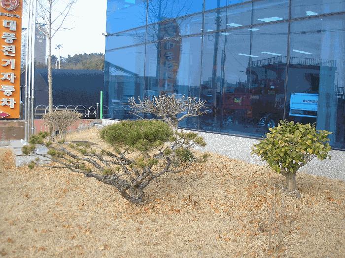 전라남도 고흥군 도양읍 봉암리 1481-4 공장 경매 사진 19