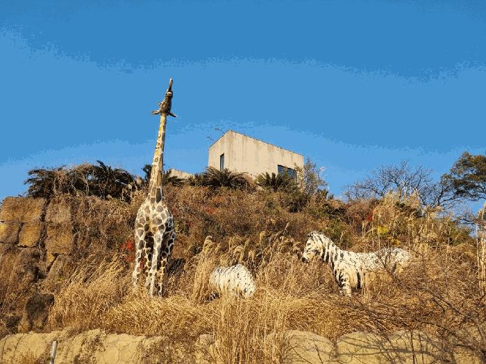 제주특별자치도 서귀포시 대포동 1833 아프리카박물관 교육시설 경매 사진 30