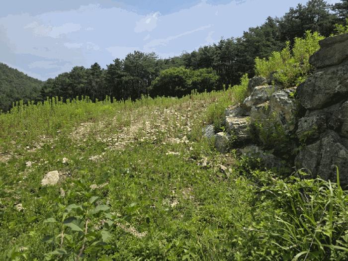 경상북도 경주시 내남면 박달리 629-7 근린시설 경매 사진 14