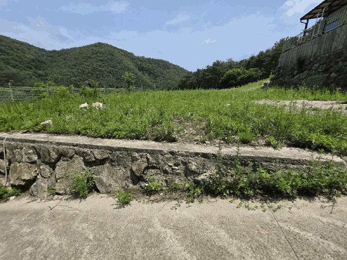 경상북도 경주시 내남면 박달리 629-7 근린시설 경매 사진 2