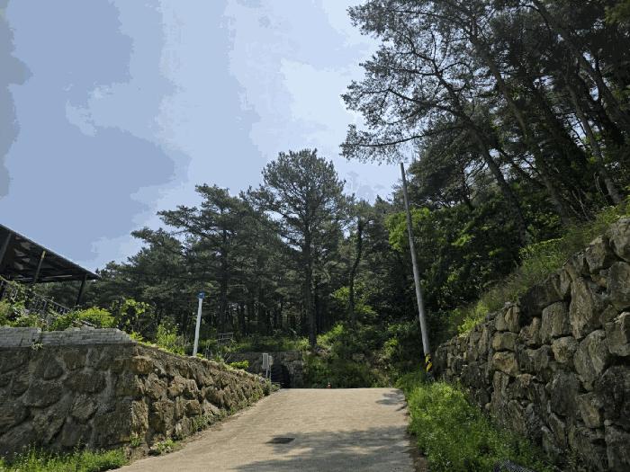 경상북도 경주시 내남면 박달리 629-7 근린시설 경매 사진 3