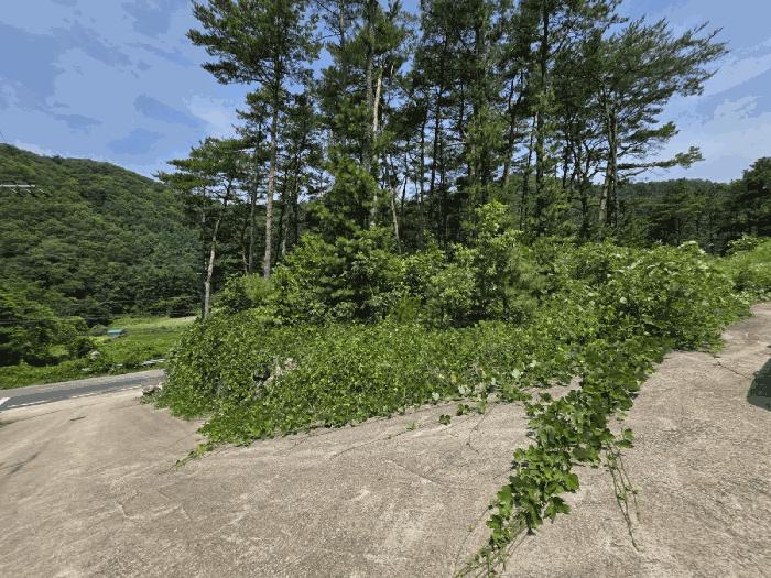 경상북도 경주시 내남면 박달리 629-7 근린시설 경매 사진 7