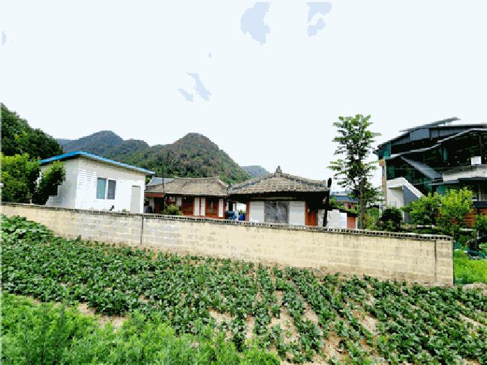 경상북도 경주시 양남면 나산리 593 주택 경매 사진 4